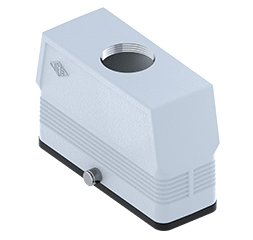 MFV 24 GYC25